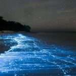 Флуоресценция - это что такое?