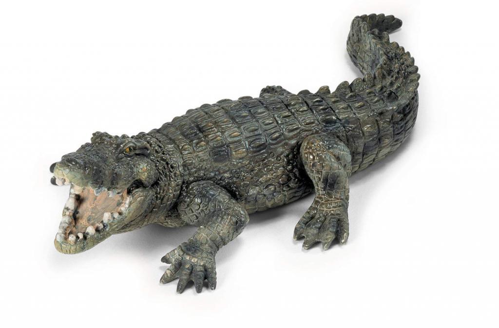 крокодил с открытой пастью