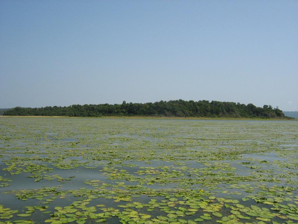 Озеро Болонь