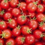 Корневая система томатов: особенности строения и функции