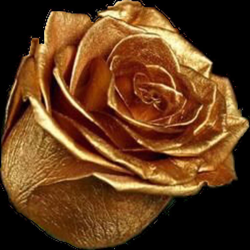 роза из золота