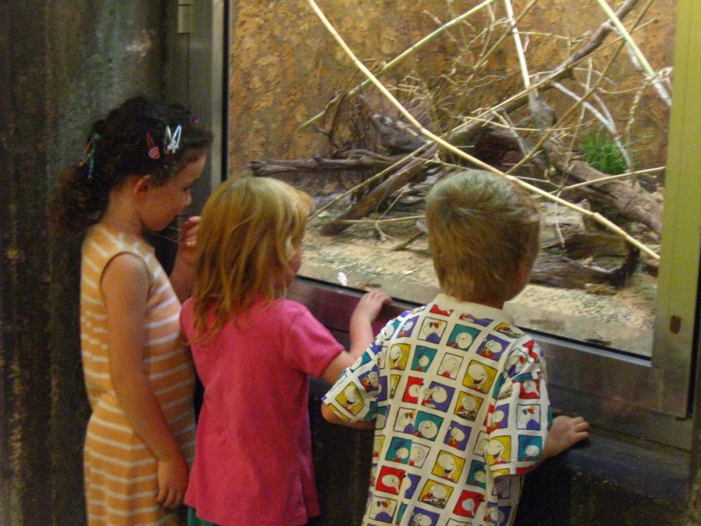 дети в зоопарке