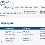 Как зарегистрироваться на самолет по электронному билету? Как выглядит электронный билет на самолет?