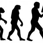 Процесс обратной эволюции: можем ли мы снова стать обезьянами