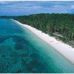 Реданг, Малайзия: описание острова, климат, обзор пляжей и отелей, фото