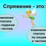 Разноспрягаемые глаголы в русском языке. Пример разноспрягаемого глагола