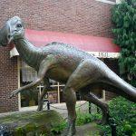 Утконосый динозавр: описание, образ жизни и фото