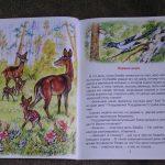 Книги о животных для детей: перечень, содержание, отзывы