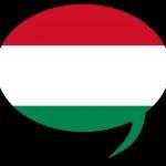 На каком языке говорят в Венгрии: венгерский язык, его диалекты и языки меньшинств