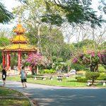Парк Люмпини в Бангкоке: фото с описанием, как добраться, советы перед посещением