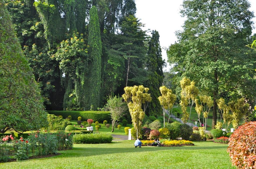 Ботанический сад Шри-Ланка