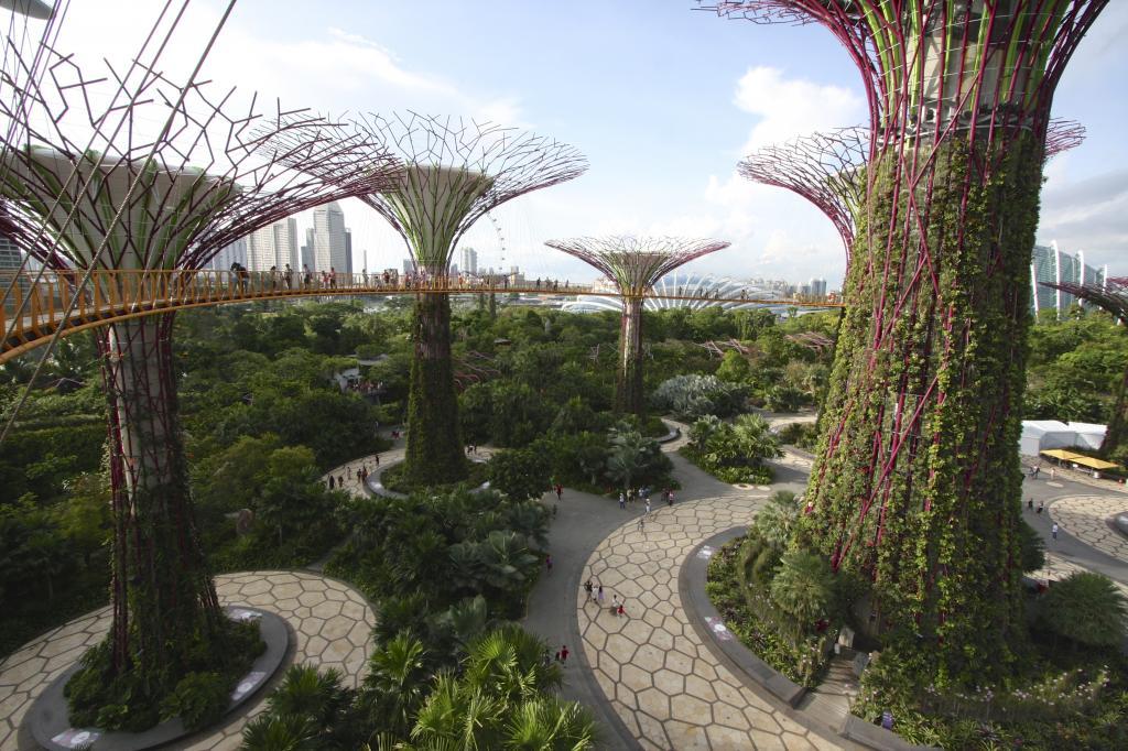 парк gardens by the bay в сингапуре
