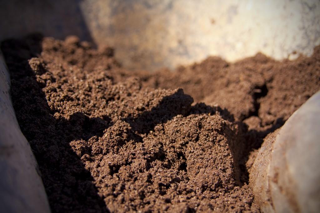 Органическое вещество почвы
