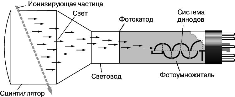 Сцинтилляционный детектор: устройство