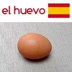 Слово "яйцо" по-испански: перевод и произношение