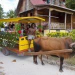 Ла Диг, Сейшелы: лучшие пляжи, отели, достопримечательности и фото туристов