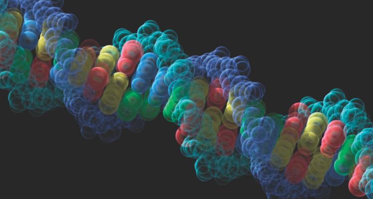 Разноцветная модель ДНК