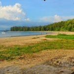 Пляж Най Янг, Пхукет: описание, туристическая инфраструктура, отзывы