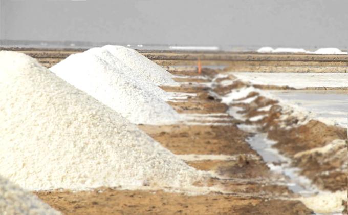 Добыча соли в Индии