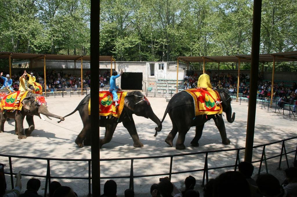 Танцующие слоны